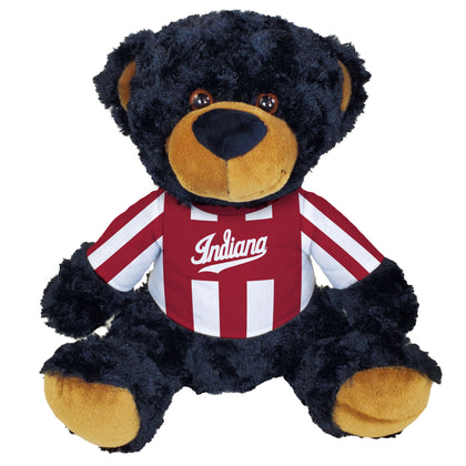 Indiana Hoosiers Candy Stripe Black Bear