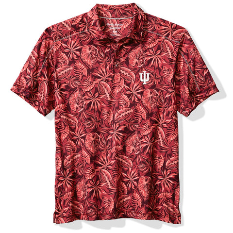 Indiana Hoosiers Men's Tommy Bahama Tropical Score Polo