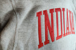 Indiana Hoosiers Champion Powerblend Hood
