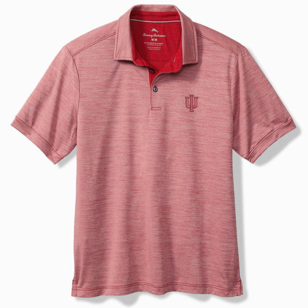 Tommy polos sales