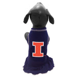 Illinois Fighting Illini Cheerleader Pet Dress