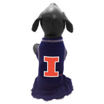 Illinois Fighting Illini Cheerleader Pet Dress
