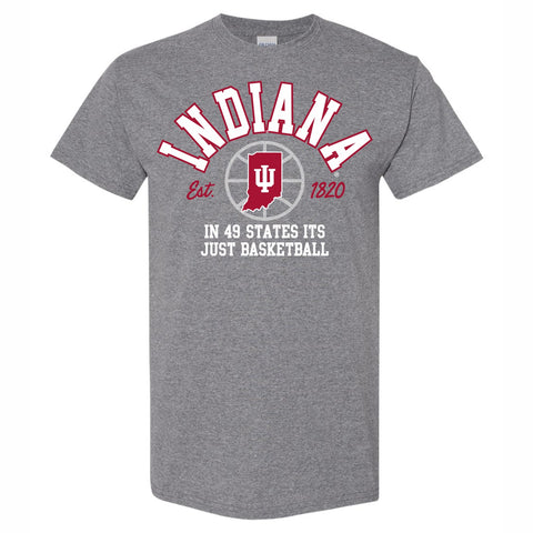 Indiana Hoosiers In 49 States Tee