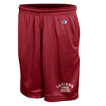 Indiana Hoosiers Men's Champion 2023 Mesh Shorts