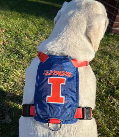 Illinois Fighting Illini College Dog Harness