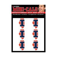 Illinois Fighting Illini State Shape Face Decal Pack